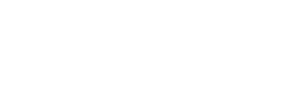 Bundle logo