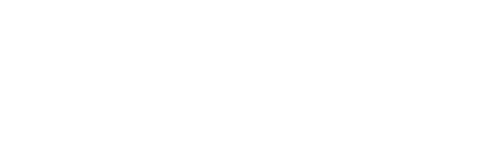 Macquarie Locksmiths logo