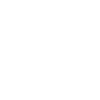 Selerity logo